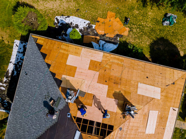 Roof Gutter Cleaning in Yacolt, WA